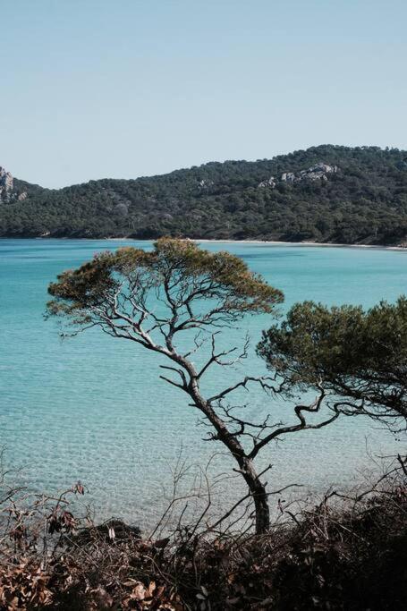 Appartement T2 Toulon Hyper Centre Εξωτερικό φωτογραφία